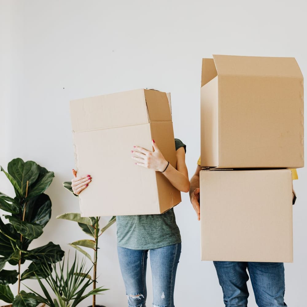 Mutarea într-un apartament nou, cutii de carton